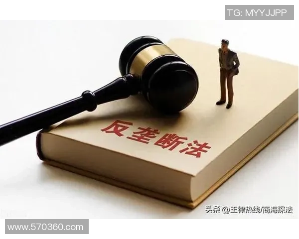 反垄断审查下的巨头合并对市场竞争的影响与思考